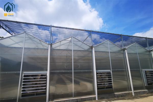 Buy cheap High Yield Farming Polycarbonate Greenhouse Fruit And Vegetable Greenhouse from wholesalers