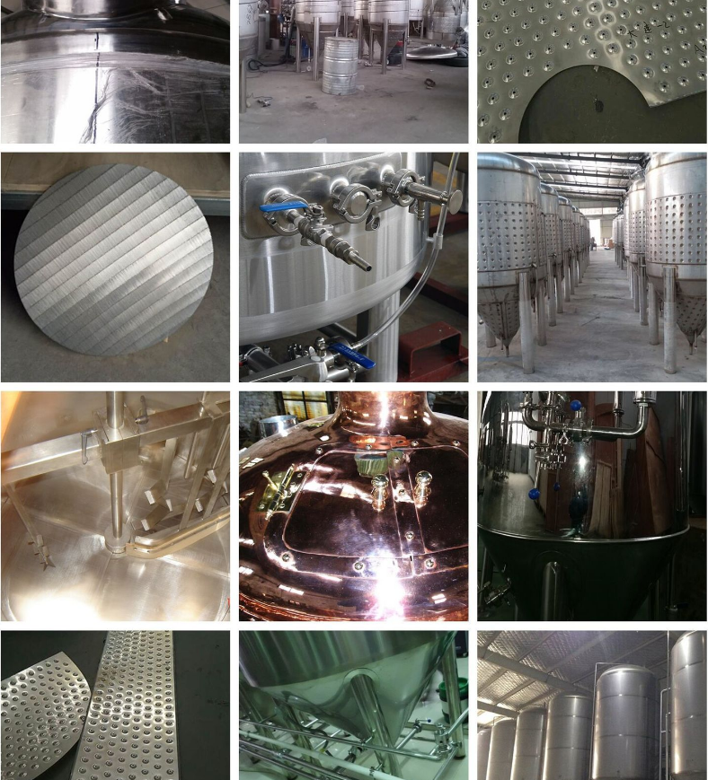 100L Stainless Steel Home Beer Brewing Equipment Top Choice for Home Brewers