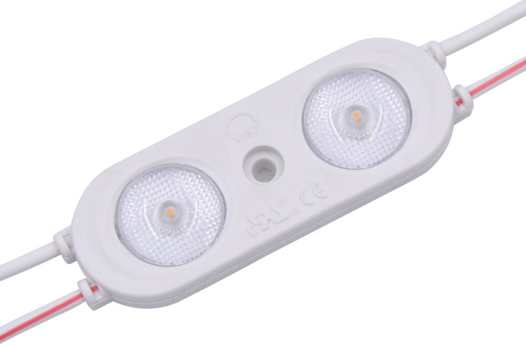 SMD LED Modules DC 12V 24V Waterproof High Bright Outdoor 2W 2 Leds 2835 Injection