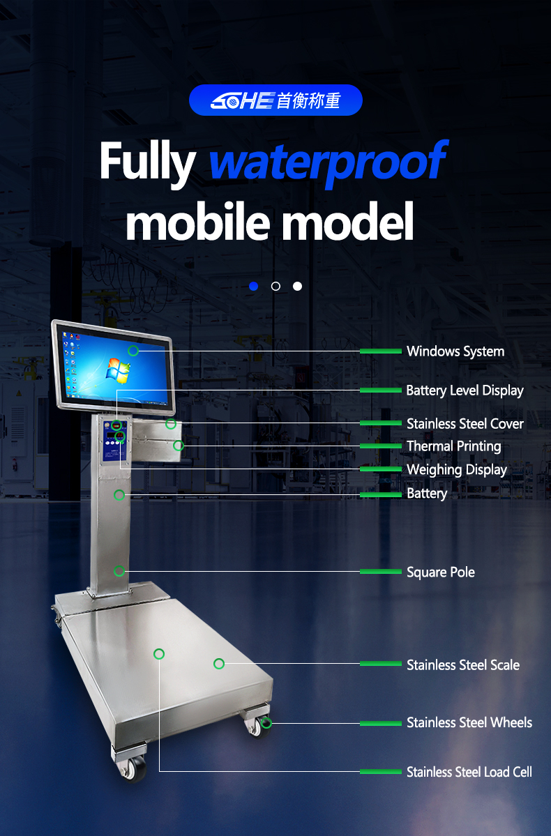 Intelligent Scale Mobile Battery with Full Waterproof Design and 50cm * 60cm Platform