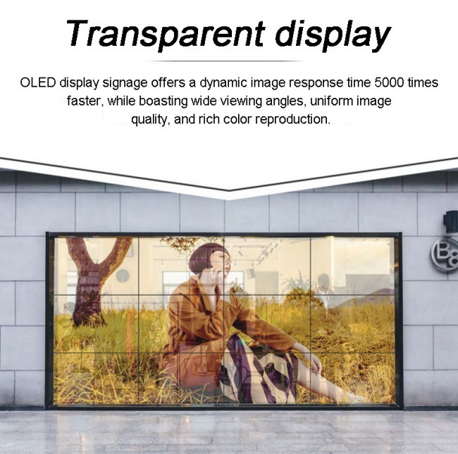 High Transparency Full Color Writing Method OLED Display Panel for Shopping Mall Advertising