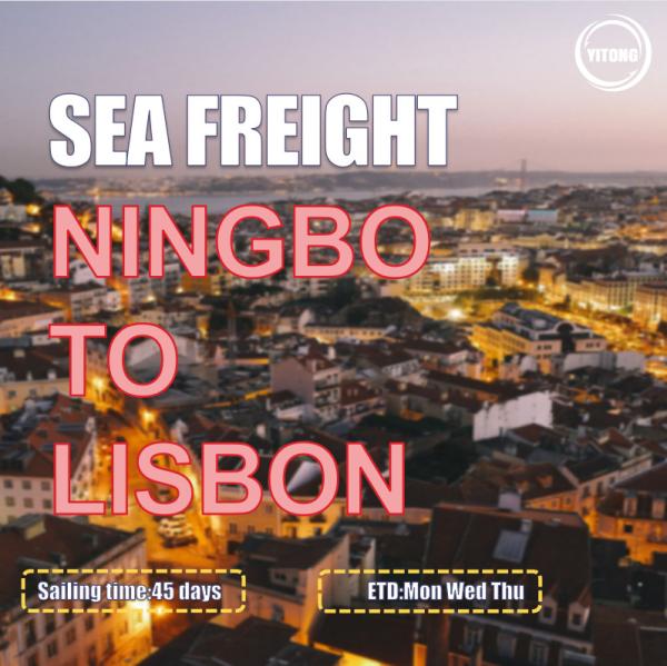 Cargo Global Sea Freight Logistics Ningbo To Lisbon Portugal Europe EMC ONE