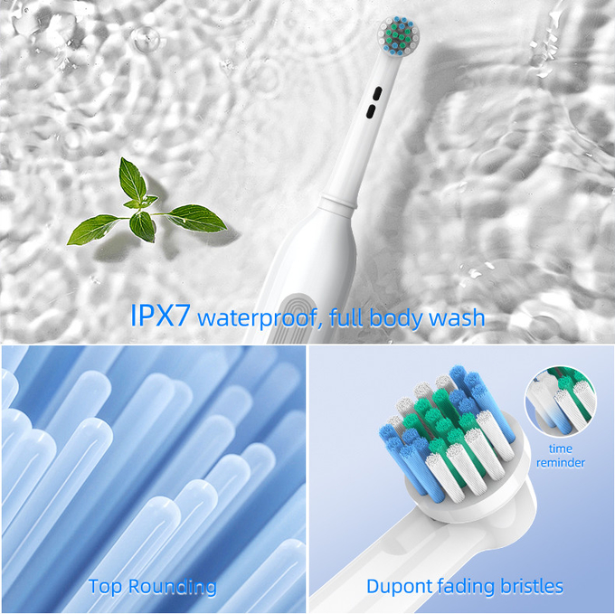 Medium Bristle Electric Round Head Toothbrush Sonic Spin Toothbrush USB Charging