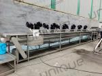 Palm Dates Washing Machine for Industrial Syrup Production in Customized Voltage