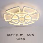 Adjustable Acrylic ceiling lights for Living room Bedroom Kitchen Lighting