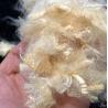 Buy cheap 1.5D×38mm Soybean Protein Fiber Antibacterial For Textile Industry from wholesalers