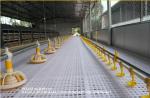 Agricultural Products Automatic Chicken Feeder Agricultural Greenhouses Animals