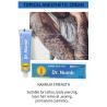 Buy cheap DR NUMB 10g Tattoo Painless Cream Lidocaine Cream Permanent Makeup Numbing Cream Eyeliner Tattoo Numb Cream from wholesalers