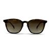 Buy cheap AS106 Square CR 39 Lens Acetate Frame Sunglasses 100% UV Protection Classic Style from wholesalers