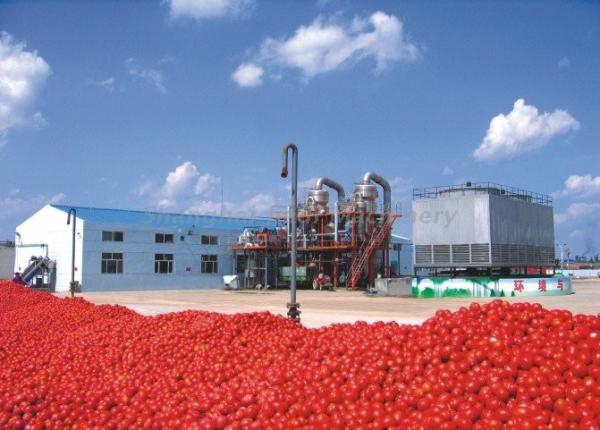 Buy cheap UHT Sterilizing Tomato Paste Production Line For Apple Jam / Shea Butter / Red Pepper Paste from wholesalers