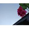 Buy cheap China 304 201 316l 8K No.8 Mirror Stainless Seel Sheets Manufactures In Foshan from wholesalers