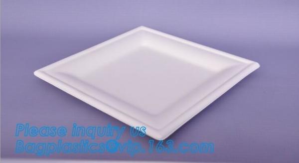 7 inch Pretty Food Grade Eco Biodegradable Tableware Disposable Corn Starch