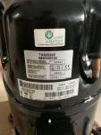 TAG2522Z France tecumseh compressor R404A gas compressor refrigeration