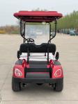 60v100ah Golf Cart Lead-Acid Automatic Battery Operated Electric Walking 4 Seat