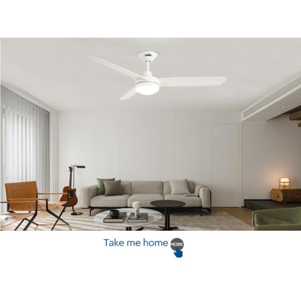 ceiling fan ceiling fan