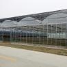 Buy cheap Hot Sale Poly Tunnel Agricultural Multi-span Plastic Film Blueberry Greenhouse from wholesalers
