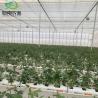Buy cheap JX-Glass Green House Hot-DIP Galvanized Steel Pipe Structure for Agriculture Greenhouse from wholesalers