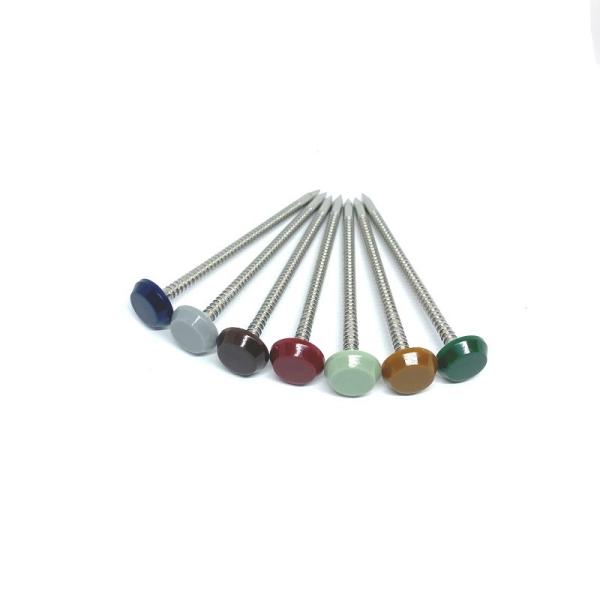 Buy cheap Polished 316 Stainless Steel Ring Shank Plastic Head Nails from wholesalers