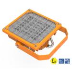 141-392VDC 80W-150W Led Gas Station Lights Class 2 Div 2 Led Lighting Brownbear