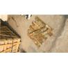 Buy cheap Concrete Back Natural Stone Veneer Ledger Panels For House Wall Decoration from wholesalers