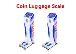 Buy cheap Accurate Coin Operated Weighing Scales , Mobile Luggage Weighing Machine from wholesalers