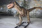 Lifelike Head Swing Hand Carved Animatronic Dinosaur Display Business Park