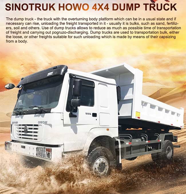 4x4 Tipper Dump Truck 290HP Sinotruk 6 Wheeler Dump Automatically