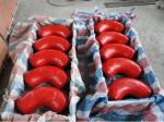 API SPEC Petroleum Equipment /wellhead/Dual Studded Flanges/elbow/Space Flange