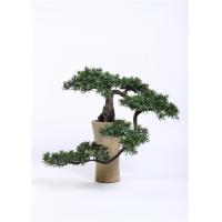 Buy cheap Interior Artificial Bonsai Plants Subtle Tropical Feel High Simulation product