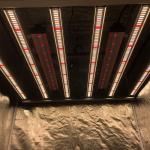 800W 8Bars Horticulture LED Grow Light Osram 660nm For Indoor Hydroponics Garden