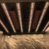 Buy cheap 800W 8Bars Horticulture LED Grow Light Osram 660nm For Indoor Hydroponics Garden from wholesalers
