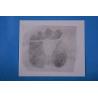 Buy cheap C163 White high gloss Palm print backing sheet from wholesalers