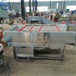 Hair Removel Fruit And Vegetable Washing Machine 500 - 1000kg / H Capacity