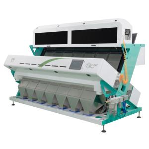 China High Accuracy CCD Optical Multifunction Garlic Color Separator Popular In Brazil on sale