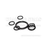 Buy cheap FFKM Round Rubber Rings 300 Celsius Degrees Chemical Solvent Resistant from wholesalers