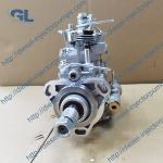 Diesel VE4 Fuel Injection Pump 0460424317 2644N207 2644N201 G214940011010 for