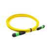 Buy cheap Wear Resistant Blue Fiber Optic Cable , MTP MPO Ruggedized Fiber Patch Cords from wholesalers