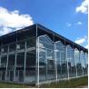 Buy cheap Garden Winter Cover Mushroom Solar Glass Greenhouse Multi Span Venlo Type Greenhouse from wholesalers