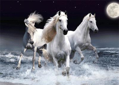 Buy cheap Wholesale products pvc custom made poster lenticular 3d pictures of animals 3D flip lenticular decoration picture from wholesalers