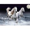 Buy cheap Wholesale products pvc custom made poster lenticular 3d pictures of animals 3D flip lenticular decoration picture from wholesalers
