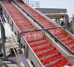 SUS 304 / 316 Tomato Ketchup Sauce Production Line Machinery Mechanized