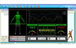 Quantum Bio-Electric Body Analyzer , Quantum Subhealth Analyser