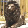 Buy cheap Outdoor Life Size Lion Bronze Statue Bronze Lion Sculpture 110cm from wholesalers