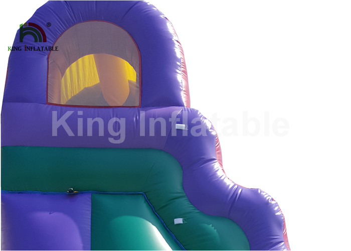 Plato PVC Double Inflatable Water Slide With Swimming Pool 1 Year Warranty