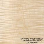 Europe Natural Figured Sycamore Wood Veneer Flat Cut Crown Cut Thickness 0.5mm