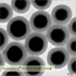 Buy cheap Viral RNA Extraction Silica Magnetic Beads 500nm 10 mg / mL 50 mL from wholesalers