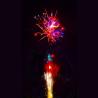 Buy cheap Chinese 188 Shots Cake Fireworks Factory Wholesale Fireworks Cake Popular Fireworks Pyrotechnics 2025 For Celebration from wholesalers