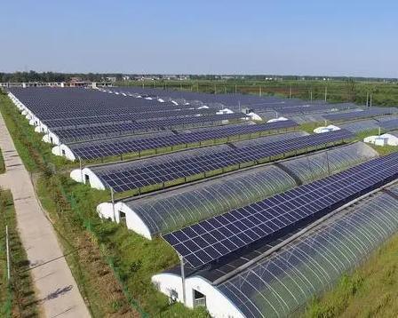 Thermal Insulation Commercial Photovoltaic Greenhouses