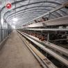 Buy cheap Hot Dip Galvanized H Type Automatic Layer Chicken Cage System from wholesalers