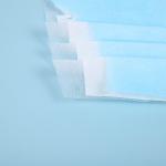 Healthcare Disposable Dust 50 Pack 3 Ply Face Mask